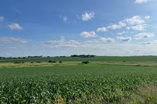 4923 Meek Rd, Arlington, WI 53911 - Photo 19