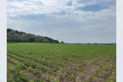 4923 Meek Road, Arlington, WI 53911 - Photo 15