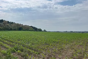 4923 Meek Rd, Arlington, WI 53911 - Photo 15