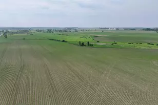 4923 Meek Rd, Arlington, WI 53911 - Photo 21