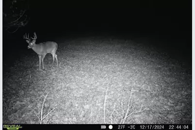 Lot 1 Highway 13, Adams, WI 53934 - Photo 15