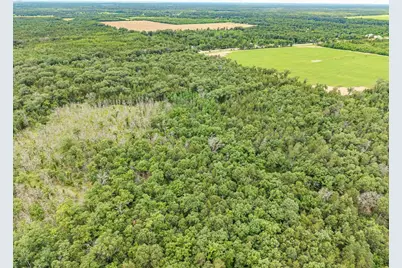 Lot 1 Highway 13, Adams, WI 53934 - Photo 5