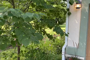 214 Johnson St, Cambridge, WI 53523 - Photo 3