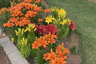 214 Johnson St, Cambridge, WI 53523 - Photo 19