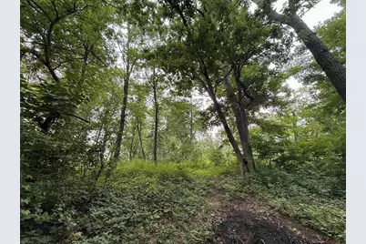 Lot 2 St Lawrence Bluff Road, Poynette, WI 53955 - Photo 3