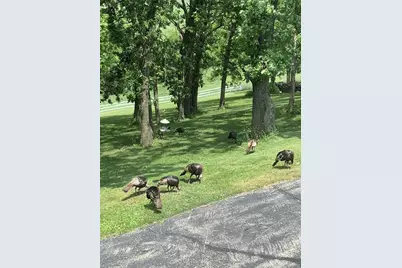 10538 W Erbe Road, Blue Mounds, WI 53517 - Photo 55