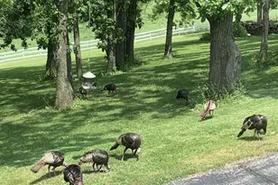 10538 W Erbe Rd, Blue Mounds, WI 53517 - Photo 55