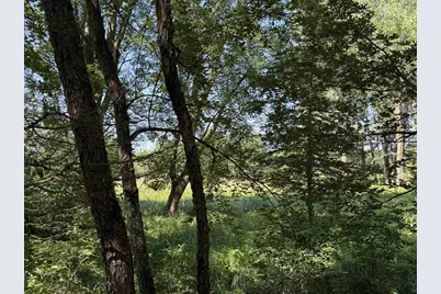 2.8 Ac Deer Run Road, Montello, WI 53949 - Photo 41