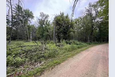2.8 Ac Deer Run Road, Montello, WI 53949 - Photo 23