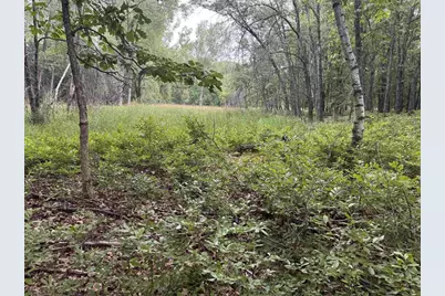 2.8 Ac Deer Run Road, Montello, WI 53949 - Photo 25