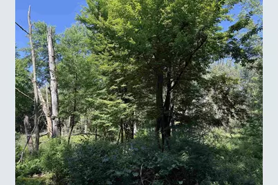 2.8 Ac Deer Run Road, Montello, WI 53949 - Photo 29