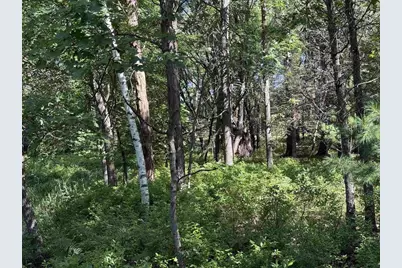 2.8 Ac Deer Run Road, Montello, WI 53949 - Photo 43