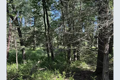 2.8 Ac Deer Run Road, Montello, WI 53949 - Photo 39