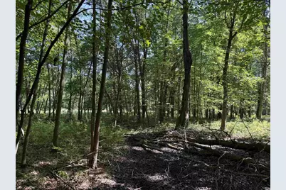 2.8 Ac Deer Run Road, Montello, WI 53949 - Photo 33