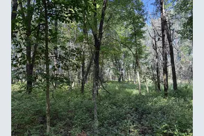 2.8 Ac Deer Run Road, Montello, WI 53949 - Photo 37