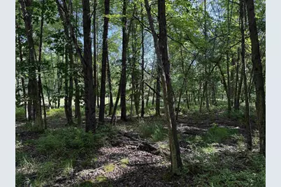 2.8 Ac Deer Run Road, Montello, WI 53949 - Photo 35