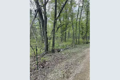2.8 Ac Deer Run Road, Montello, WI 53949 - Photo 11