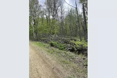 2.8 Ac Deer Run Road, Montello, WI 53949 - Photo 9