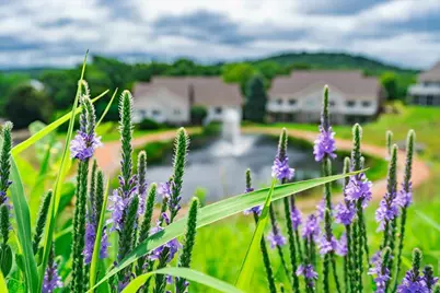 W11558 Island View Court, Lodi, WI 53555 - Photo 19