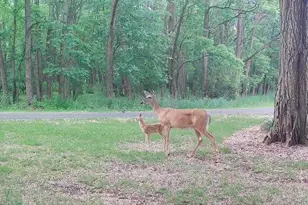 W2948 County Rd C, Montello, WI 53949 - Photo 81