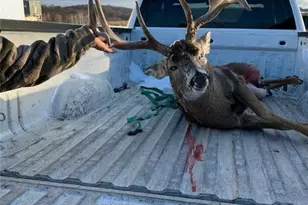 S6966 Johnson Ave, Viroqua, WI 54665 - Photo 35