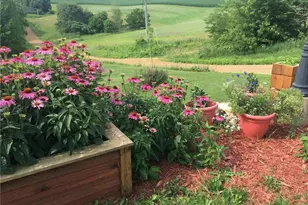 S6966 Johnson Ave, Viroqua, WI 54665 - Photo 29