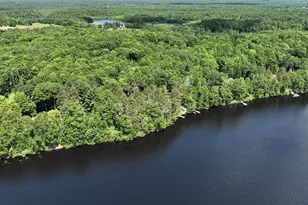 N8381 Birch Hill Rd, Phillips, WI 54555 - Photo 37