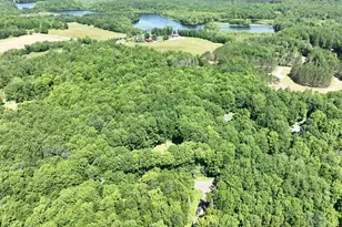 N8381 Birch Hill Rd, Phillips, WI 54555 - Photo 51