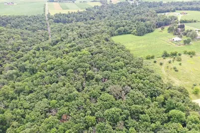 9.85 Acres Stevenson Drive, Poynette, WI 53955 - Photo 7