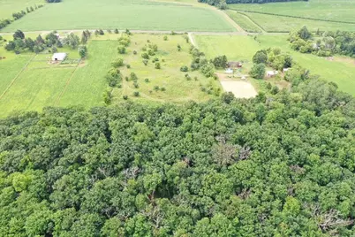 9.85 Acres Stevenson Drive, Poynette, WI 53955 - Photo 5