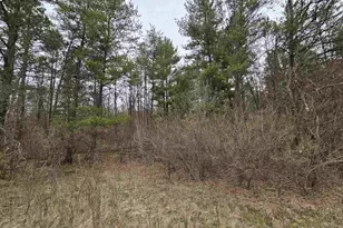 1150 Gale Ct, Wisconsin Dells, WI 53965 - Photo 41