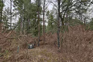 1150 Gale Ct, Wisconsin Dells, WI 53965 - Photo 43