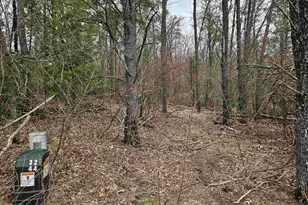 1150 Gale Ct, Wisconsin Dells, WI 53965 - Photo 47