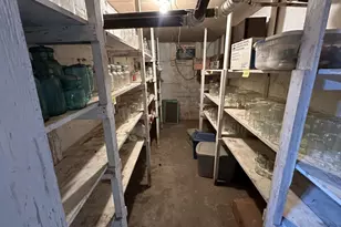 384 Willow St, Arena, WI 53503 - Photo 41