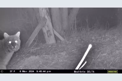 W6403 23rd Street, Necedah, WI 54646 - Photo 11