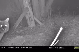 W6403 23rd St, Necedah, WI 54646 - Photo 11