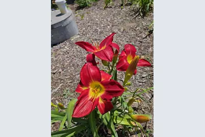 W6403 23rd Street, Necedah, WI 54646 - Photo 23