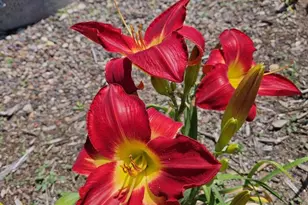 W6403 23rd St, Necedah, WI 54646 - Photo 23