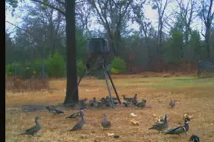 W6403 23rd St, Necedah, WI 54646 - Photo 79