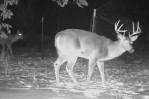 W6403 23rd St, Necedah, WI 54646 - Photo 77