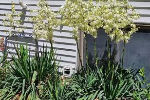 W6403 23rd St, Necedah, WI 54646 - Photo 83