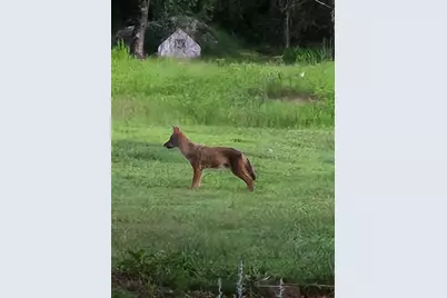 W6403 23rd Street, Necedah, WI 54646 - Photo 81