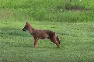 W6403 23rd St, Necedah, WI 54646 - Photo 81