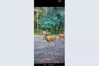 W6191 Lueck Lane, Princeton, WI 54968 - Photo 59