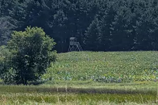 W6191 Lueck Ln, Princeton, WI 54968 - Photo 63