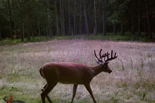 W6191 Lueck Ln, Princeton, WI 54968 - Photo 61