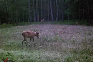W6191 Lueck Ln, Princeton, WI 54968 - Photo 57