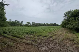 W6430 Patterson Rd, Monroe, WI 53566 - Photo 81