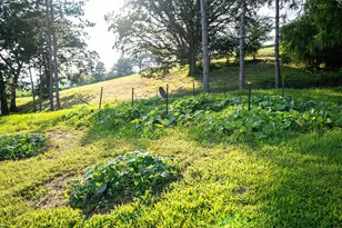 8991 McKenzie Ln, Hollandale, WI 53516 - Photo 51