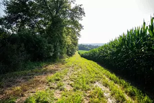 8991 McKenzie Ln, Hollandale, WI 53516 - Photo 71